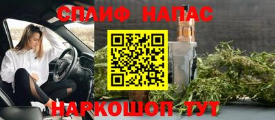 мдпв Татарск