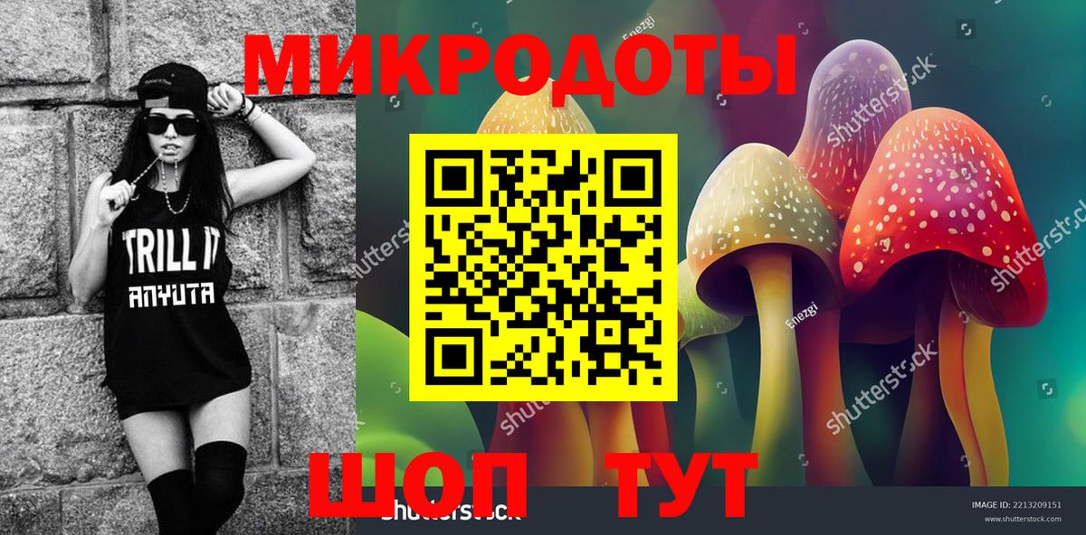 Междуреченск  Псилоцибиновые грибы Psilocybe  Вход с VPN 