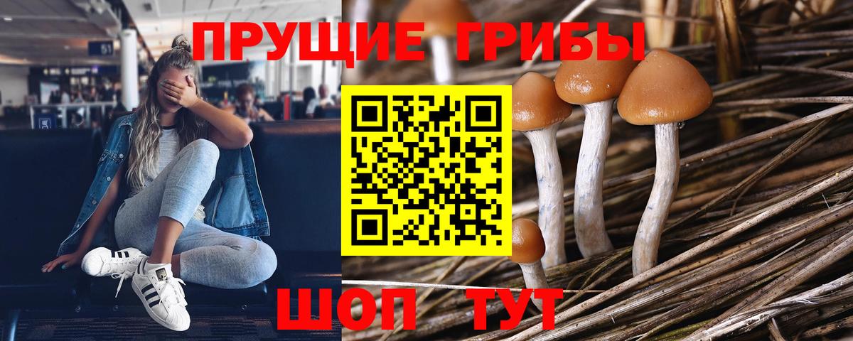Псилоцибиновые грибы прущие грибы Междуреченск